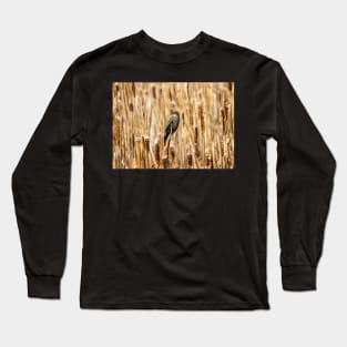 Female Black Bird Perched in a Field of Cat Tail Reeds Long Sleeve T-Shirt